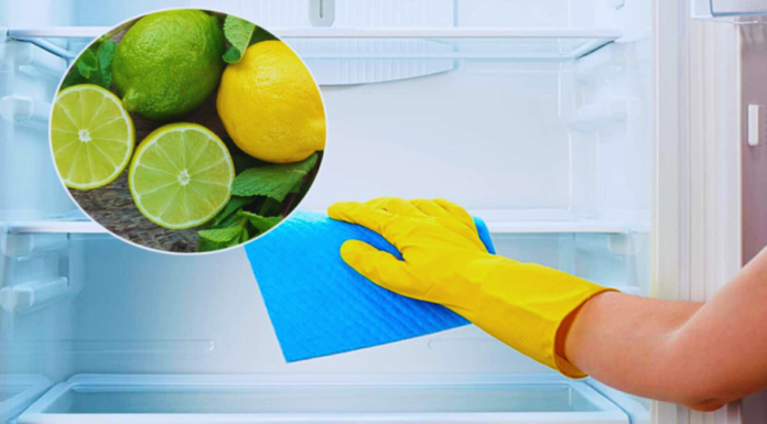 How Squeezing a Lemon Into Your Fridge Can Do Wonders for Your Home (And Why Every Household Needs to Know About It)