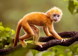 April Last 9 Days: 3 Years of Suffering Finally Ends, Abundant Wealth and Success in All Endeavors