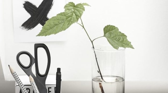 5 Things You Should Never Keep on Your Desk That Are Blocking Your Success and Wealth