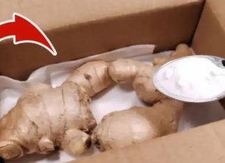 3 Tips for Storing Ginger That Will Keep It Fresh for Half a Year