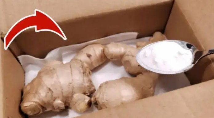 3 Tips for Storing Ginger That Will Keep It Fresh for Half a Year
