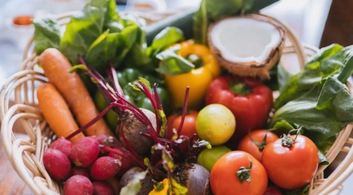 Preserving Food Without a Fridge: A Summer Survival Guide