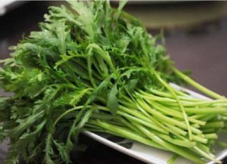 Eat This Veggie Delight: A Nutritional Powerhouse at a Bargain Price