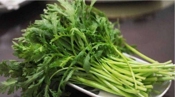 Eat This Veggie Delight: A Nutritional Powerhouse at a Bargain Price