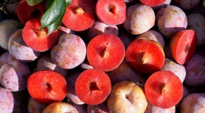 9 Sweet Fruits That Are Surprisingly Heat-Producing and Can Cause Breakouts