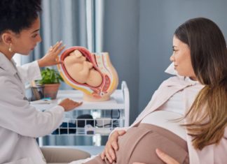 What Does a Baby Do in the Womb Each Day?