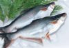 Basa Fish: A Rich Source of Nutrition for Expecting Mothers and Children