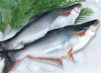 Basa Fish: A Rich Source of Nutrition for Expecting Mothers and Children