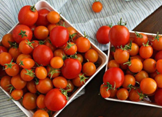 Chef Reveals: Apply this Hack and Your Tomatoes Will Stay Fresh for Up to a Month