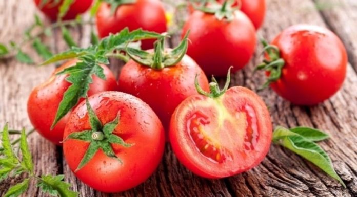 Should You Choose Tomatoes with 5 or 6-Chamber Locules When Shopping?