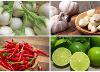 Savory and Tangy Pickled Eggplants: Indulge Without the Darkening Effect