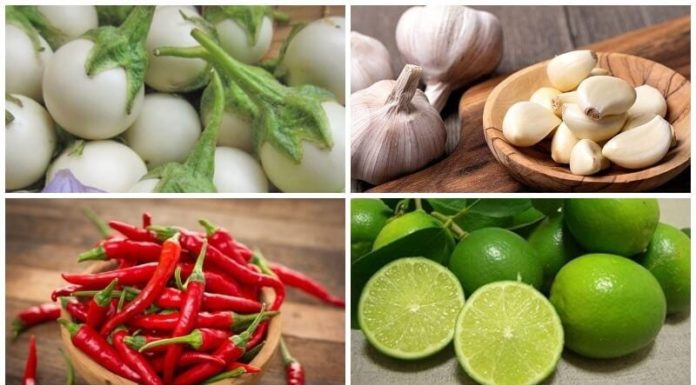 Savory and Tangy Pickled Eggplants: Indulge Without the Darkening Effect