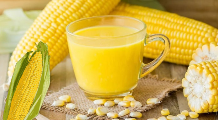 Secrets of Making Delectable and Rich Corn Milk That Won’t Separate