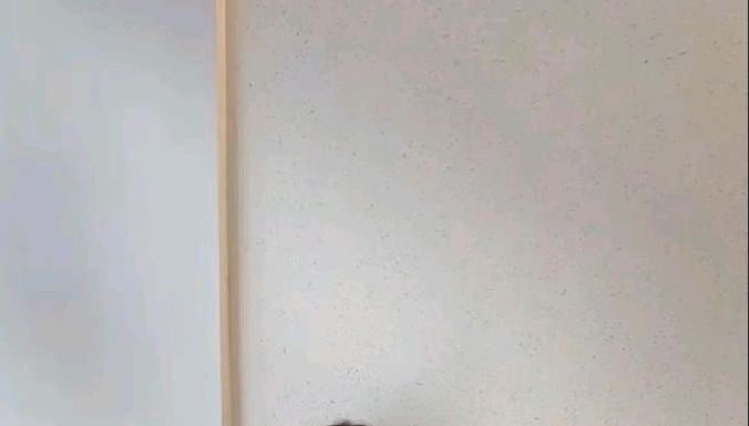 Summer Style Essentials: Enhance Your Look with Sneakers