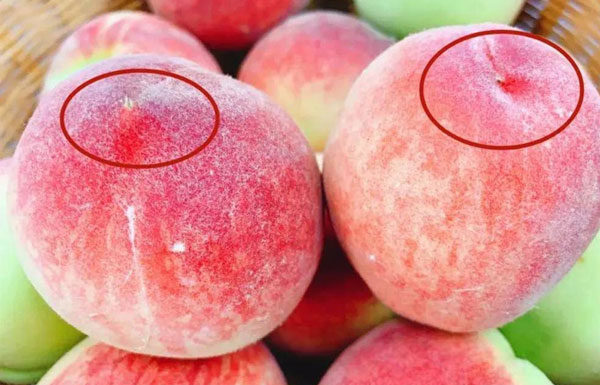 How to Identify Male and Female Peaches: A Guide to Avoid Sour Disappointment
