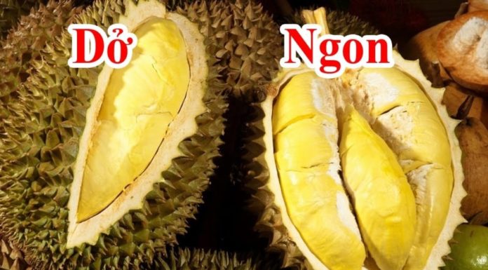 The Ultimate Guide to Buying Durian: How to Spot the Creamiest, Golden-Yellow Flesh with Flat Seeds
