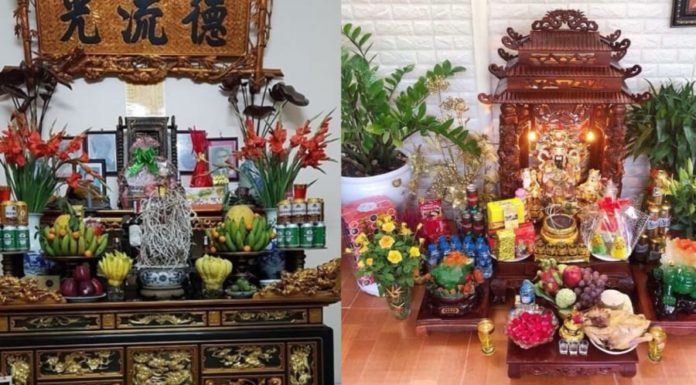 The Magic of Incense: Unlocking Fragrance with Whole Flower Pots or Stem Cuttings?