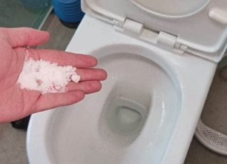 Sprinkling Salt In The Toilet: A Little-Known Tip With Remarkable Benefits