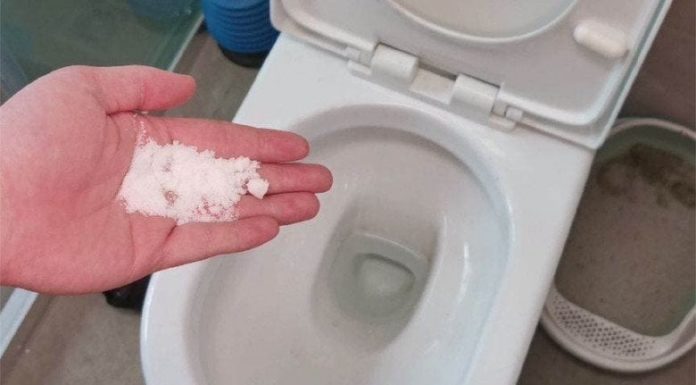 Sprinkling Salt In The Toilet: A Little-Known Tip With Remarkable Benefits