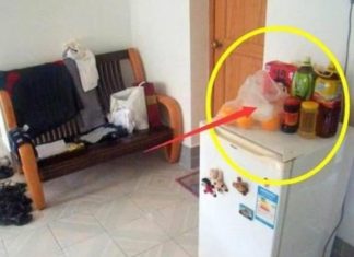 When Fortune Fades, Embrace These Hidden Treasures within Your Refrigerator