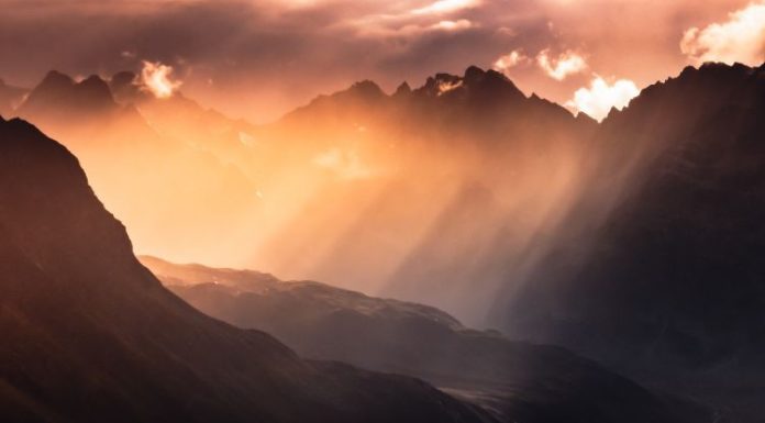 Lucky Wallpaper Suggestions for the Fire Element: Dos, Don’ts, and Taboos