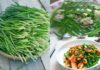 Ancient Art of Healing: Why Men Should Eat Chives and Women Should Have Lotus Root