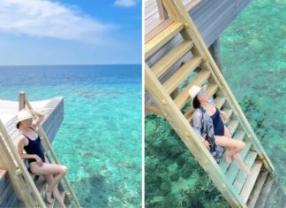 The Secret to Liu Jialing’s Slender Frame: Sweet Potato Diet and Daily Jogs