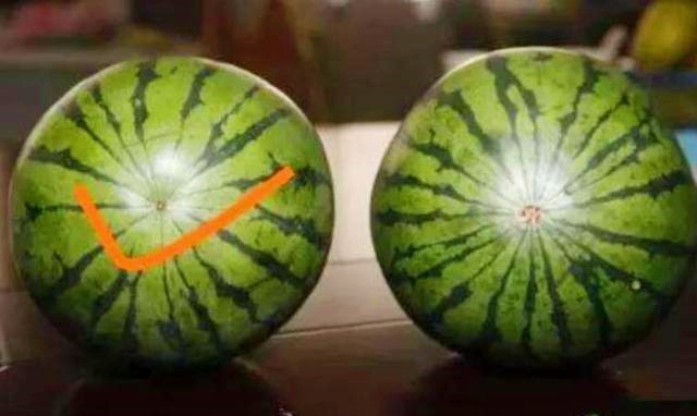 Skip thumping watermelons: Grower shares foolproof way to pick thin-rind, superbly sweet melons