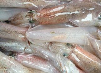 Unlock Culinary Delights: Master the Art of Non-Frying Squid Preparation