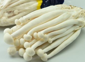 Searing Scallops and Pork Strips in a Savory Mushroom Sauce: A 15-Minute Recipe for a Perfect Rice Accompaniment