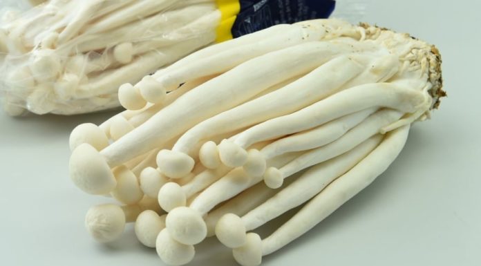 Searing Scallops and Pork Strips in a Savory Mushroom Sauce: A 15-Minute Recipe for a Perfect Rice Accompaniment