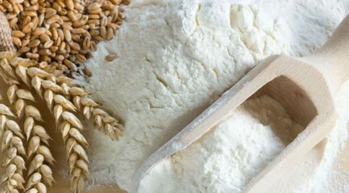 Homemade Fresh Noodles: Simple, Safe, and Delicious