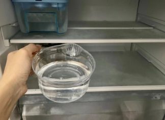 The Magic of a Bowl of Water in Your Fridge: A Simple Yet Effective Tip, Endorsed by EVN