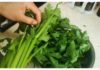 Cruciferous Vegetables: The Cancer-Fighting Superfoods Hidden in Your Kitchen