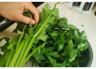 Cruciferous Vegetables: The Cancer-Fighting Superfoods Hidden in Your Kitchen