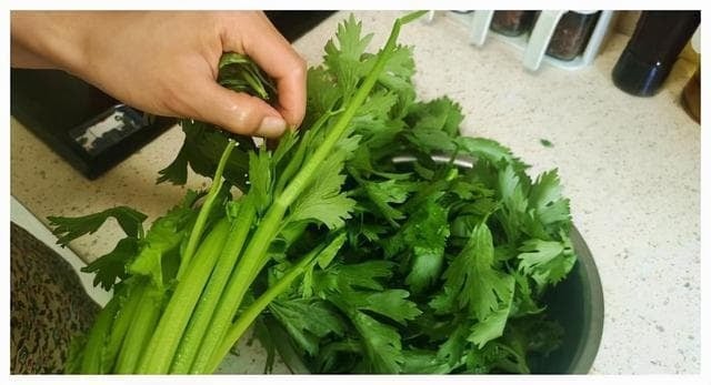 Cruciferous Vegetables: The Cancer-Fighting Superfoods Hidden in Your Kitchen