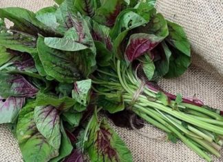 5 Summer Veggies That Cool Your Body, Soothe Your Liver, and Keep Mouth Ulcers Away