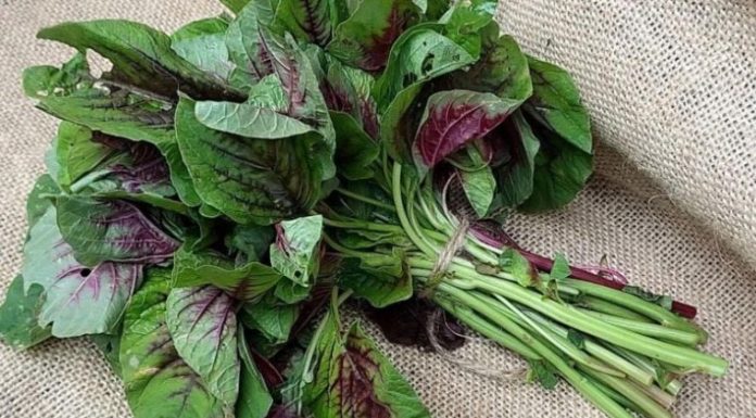 5 Summer Veggies That Cool Your Body, Soothe Your Liver, and Keep Mouth Ulcers Away