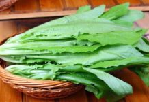 The Ultimate Superfood: Unlocking the Power of This Underrated Vegetable