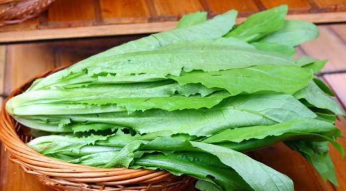 The Ultimate Superfood: Unlocking the Power of This Underrated Vegetable