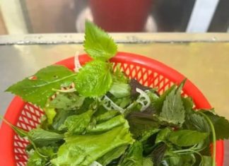 Unveiling the Health Hazards Lurking in a Beloved Vietnamese Vegetable