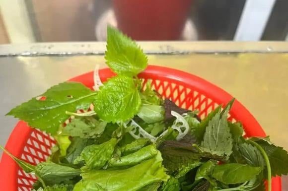 Unveiling the Health Hazards Lurking in a Beloved Vietnamese Vegetable