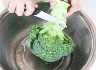 Extreme Mistake You MUST Avoid When Eating Broccoli, Or You’re Wasting Money And Losing Nutrients
