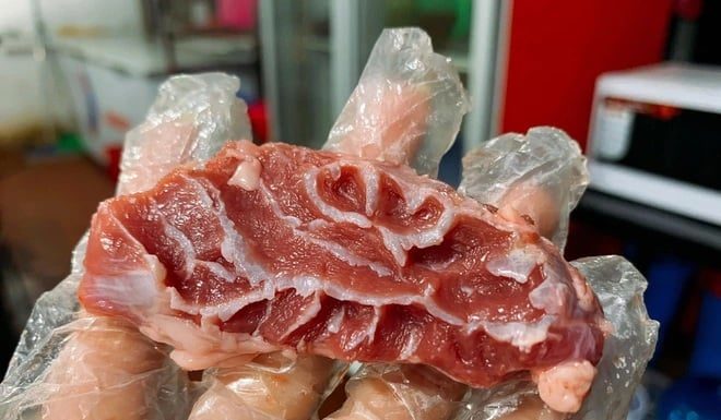 Pork Sweetbread: The Delicacy You Must Try