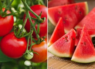 7 Sun-Protective Foods to Nourish Your Skin and Prevent Hyperpigmentation