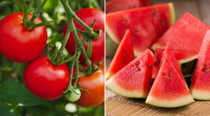 7 Sun-Protective Foods to Nourish Your Skin and Prevent Hyperpigmentation
