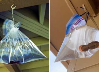 Effective Use of Water Bags on Windows: A Solution to a Common Household Problem, Especially During Summer