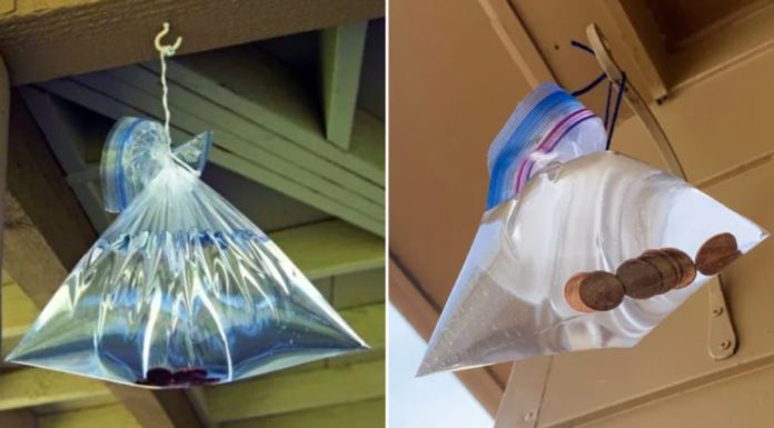 Effective Use of Water Bags on Windows: A Solution to a Common Household Problem, Especially During Summer