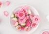 Natural and Gentle Rose Water You Can Make at Home
