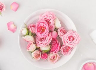 Natural and Gentle Rose Water You Can Make at Home